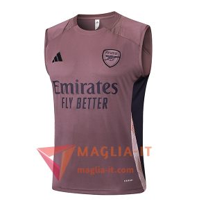 Canottiera da Allenamento Arsenal viola/Nero 2025/2026
