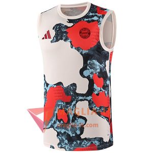 Canottiera da Allenamento Bayern Monaco Beige/Rosso/Blu 2025/2026