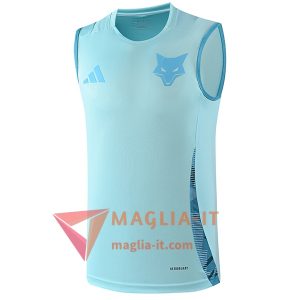 Canottiera da Allenamento Cruzeiro Azzurro 2025/2026