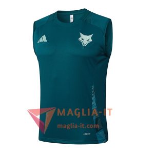 Canottiera da Allenamento Cruzeiro Verde 2025/2026