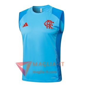 Canottiera da Allenamento Flamengo Blu 2025/2026
