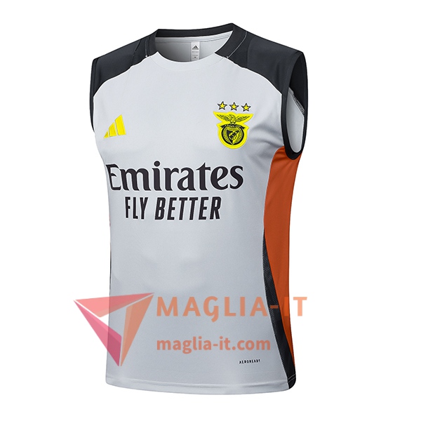 Canottiera da Allenamento S.L.Benfica Grigio/Nero/Arancia 2025/2026