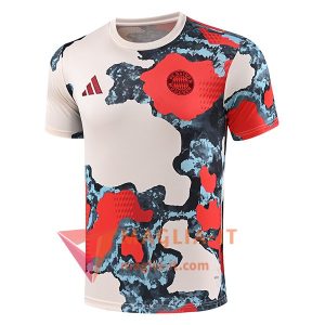 Magliette da Allenamento Bayern Monaco Beige/Rosso/Blu 2025/2026