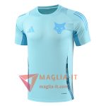 Magliette da Allenamento Cruzeiro Azzurro 2025/2026