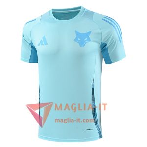 Magliette da Allenamento Cruzeiro Azzurro 2025/2026