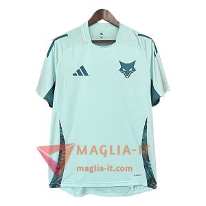 Magliette da Allenamento Cruzeiro Verde 2025/2026