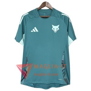 Magliette da Allenamento Cruzeiro Verde Scuro 2025/2026