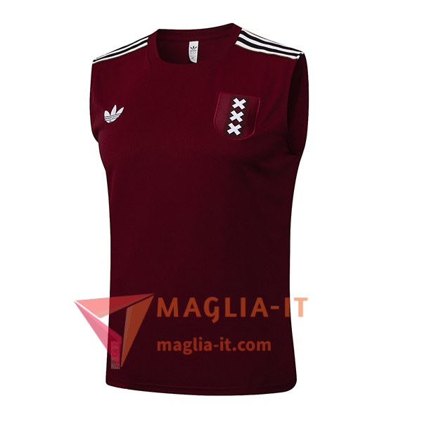 Canottiera da Allenamento Ajax Marrone/Bianco 2025/2026