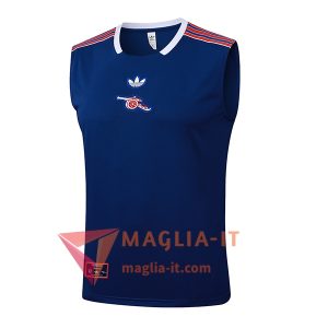 Canottiera da Allenamento Arsenal Blu/Rosso 2025/2026