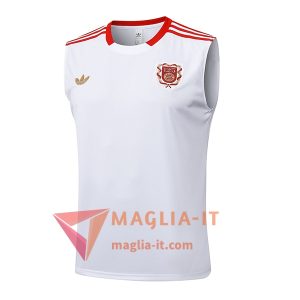 Canottiera da Allenamento Bayern Monaco Bianco/Rosso 2025/2026