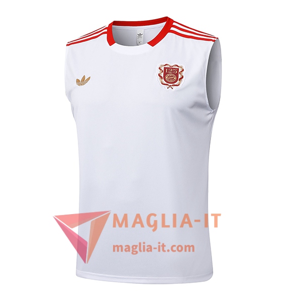 Canottiera da Allenamento Bayern Monaco Bianco/Rosso 2025/2026