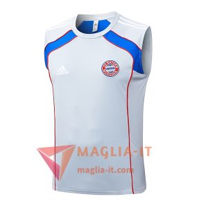 Canottiera da Allenamento Bayern Monaco Grigio/Rosso/Blu 2025/2026