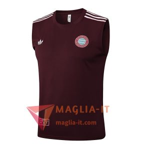 Canottiera da Allenamento Bayern Monaco Marrone/Bianco 2025/2026