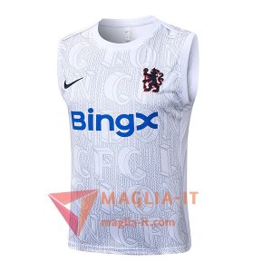 Canottiera da Allenamento FC Chelsea Bianco/Grigio 2025/2026