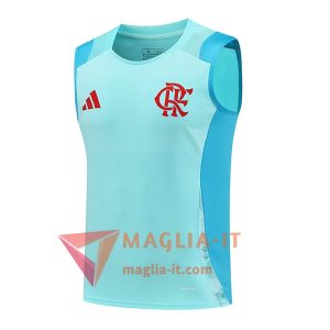 Canottiera da Allenamento Flamengo Verde/Blu 2025/2026