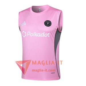 Canottiera da Allenamento Inter Miami CF Rosa/Grigio 2025/2026