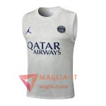 Canottiera da Allenamento PSG Grigio Chiaro 2025/2026