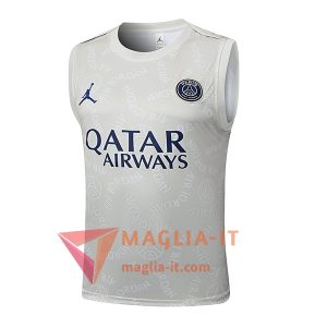Canottiera da Allenamento PSG Grigio Chiaro 2025/2026