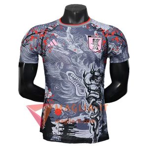Maglia Nazionale Giappone Special Edition 2025/2026 Grigio