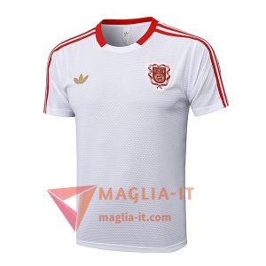 Magliette da Allenamento Bayern Monaco Bianco/Rosso 2025/2026
