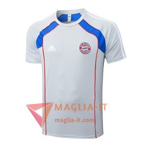 Magliette da Allenamento Bayern Monaco Grigio/Rosso/Blu 2025/2026