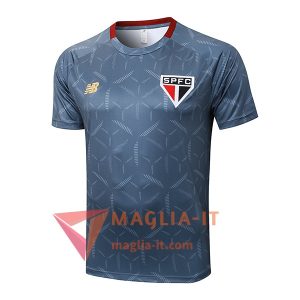Nuove Magliette da Allenamento Sao Paulo FC Grigio 2025/2026