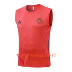 Canottiera da Allenamento Bayern Monaco Arancia/Grigio 2025/2026