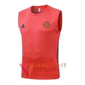 Canottiera da Allenamento Bayern Monaco Arancia/Grigio 2025/2026