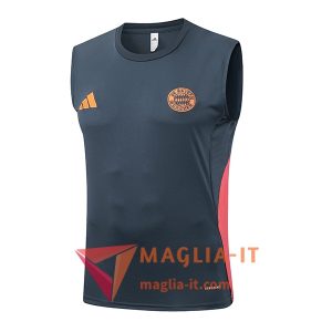 Canottiera da Allenamento Bayern Monaco Grigio/Arancia 2025/2026