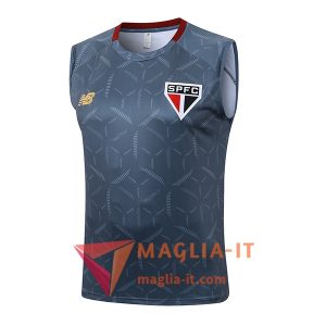 Canottiera da Allenamento Sao Paulo FC Grigio 2025/2026