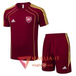 Nuova Kit da Allenamento Arsenal - Maglia + Pantaloncini 2025/2026 Rosso/Giallo