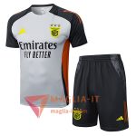 Kit da Allenamento S.L.Benfica - Maglia + Pantaloncini 2025/2026 Grigio/Nero/Arancia