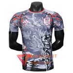 Maglia della Nazionale Giappone Special Edition 2025/2026 Grigio