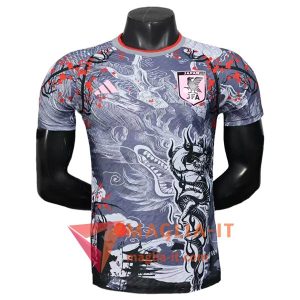 Maglia della Nazionale Giappone Special Edition 2025/2026 Grigio