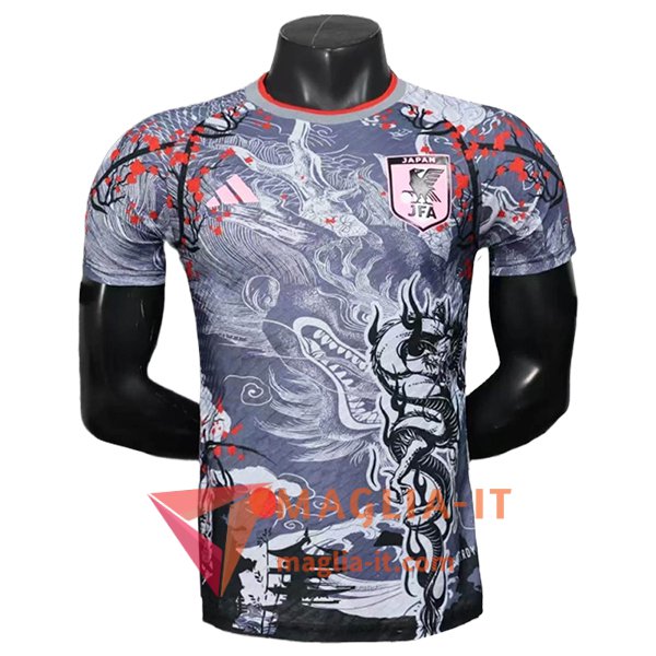Maglia della Nazionale Giappone Special Edition 2025/2026 Grigio