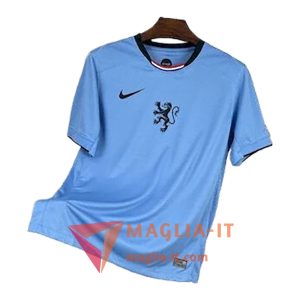Maglia della Nazionale Paesi Bassi Seconda 2025/2026