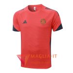 Magliette da Allenamento Bayern Monaco Grigio/Arancia 2025/2026