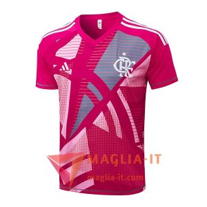 Magliette da Allenamento Flamengo Rosa/Grigio 2025/2026