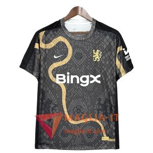 Maglietta Calcio Chelsea Special Edition Grigio 2025/2026