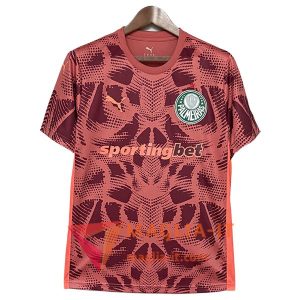 Maglietta Calcio Palmeiras Portiere Rosso 2025/2026